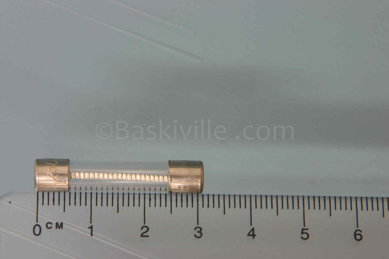 Fuse 2.5 Amp S.B.