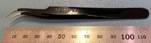 7asaexv1.jpg