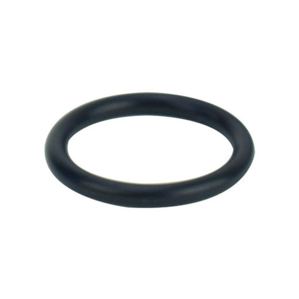 Fisnar 5cc Viton O Rings 560005V