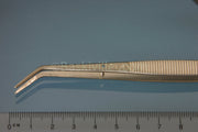 cl24-sa-p.jpg