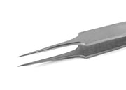 cl5-sa-p.jpg
