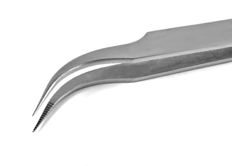 cl7b-sa-p.jpg