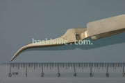 clr7-sa-p.jpg