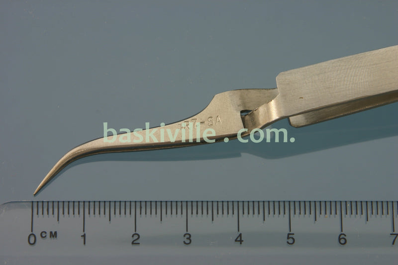 clr7-sa-p.jpg
