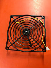 qui214n100055.jpg