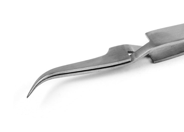 r7-sa.jpg