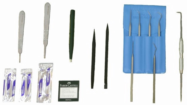 Scalpels, Scribes, Probes & Erasers