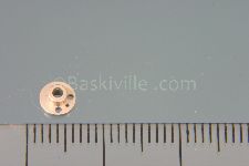 View Details for EUA060316