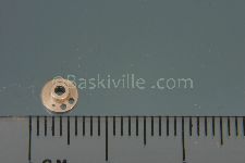 View Details for EUA060318