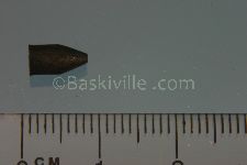 View Details for EU-A060684