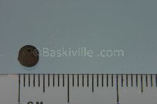 View Details for EUA043077