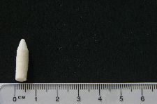 View Details for MCCP40P