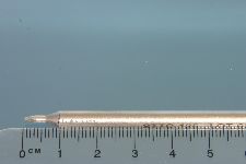 View Details for METSTTC-125